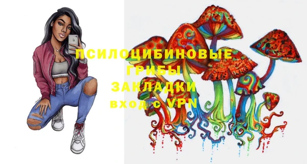 стафф Бронницы