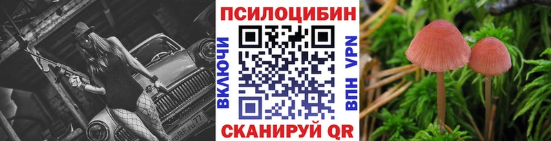 Купить где  Барнаул  Галлюциногенные грибы Magic Shrooms 
