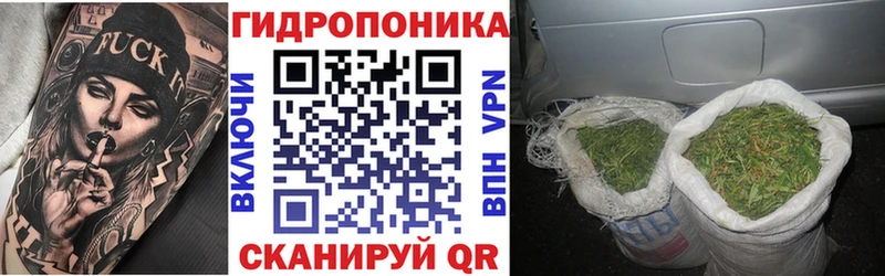 Канабис конопля Купить закладки Барнаул
